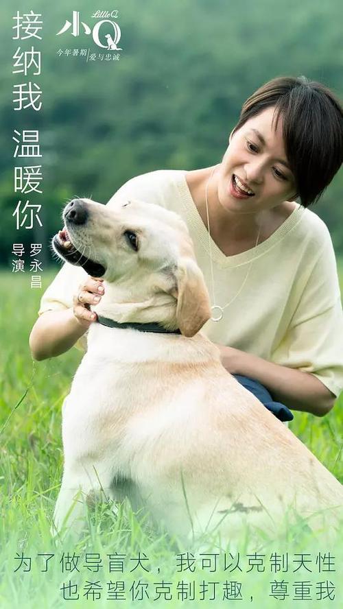 名古屋経済大学毕业证办理